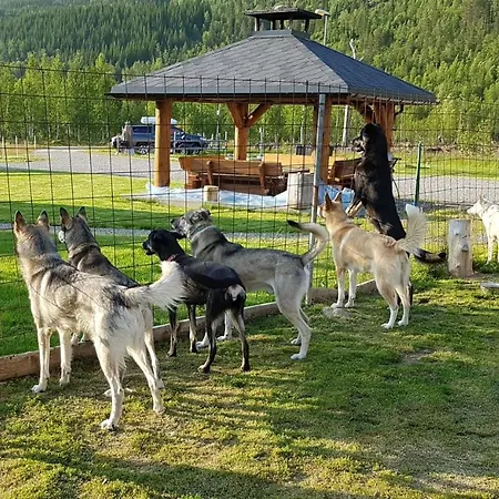 Visit Holiday home Junkerdal